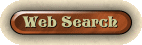 Web Search