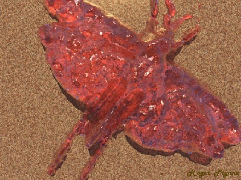 Right Click to Download